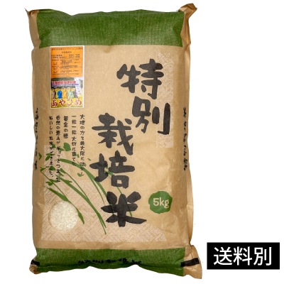 R7年度産 特別栽培米・新篠津あやひめ　白米5kg【店舗取扱】