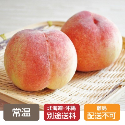 夏ギフト(和歌山県産)田村さんの桃 約1.8kg 5~7玉【のし紙可】【送料無料】