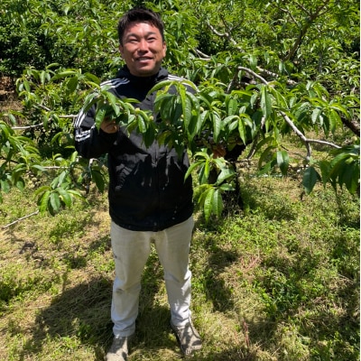 夏ギフト(和歌山県産)田村さんの桃 約1.8kg 5~7玉【のし紙可】【送料無料】