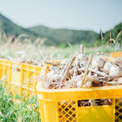 (ﾃﾞｨｽｶﾊﾞﾘｰﾌﾟﾛ)国産有機黒にんにく120g