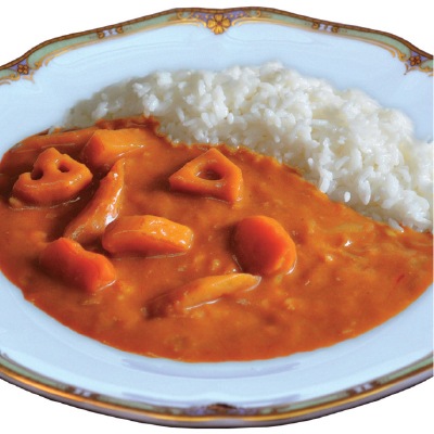 (桜井)ベジタリアンのための根菜カレー200g