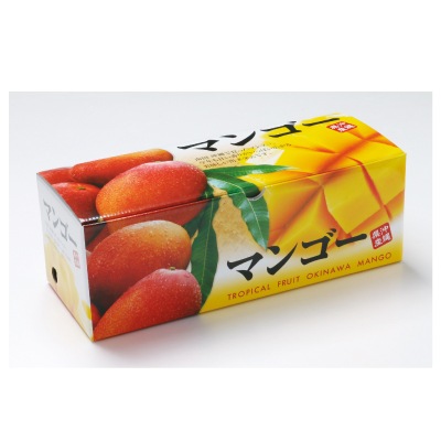 (沖縄県産)アップルマンゴー約1ｋｇ【ギフト_のし不可】【送料無料】