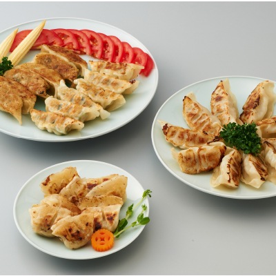 予約【単品おせち:冷凍】餃子いろいろセット4品