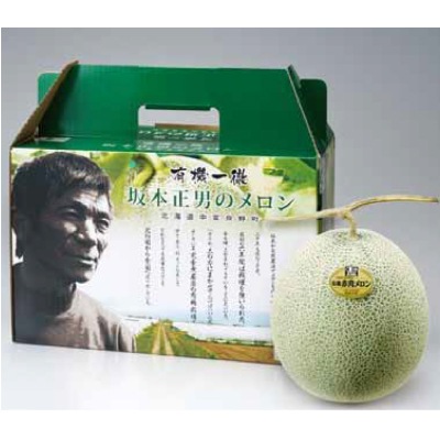 夏ギフト(北海道産)坂本さんの有機メロン「ティアラ」2玉【短冊のし可・名入れ不可】【送料無料】