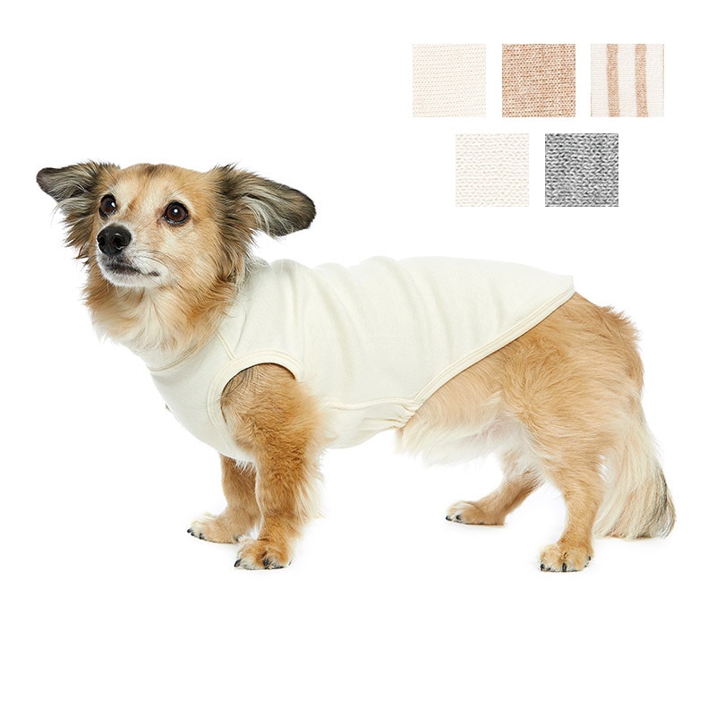 ڥ(ȩ) ߥ˥奢å Ρ꡼֡