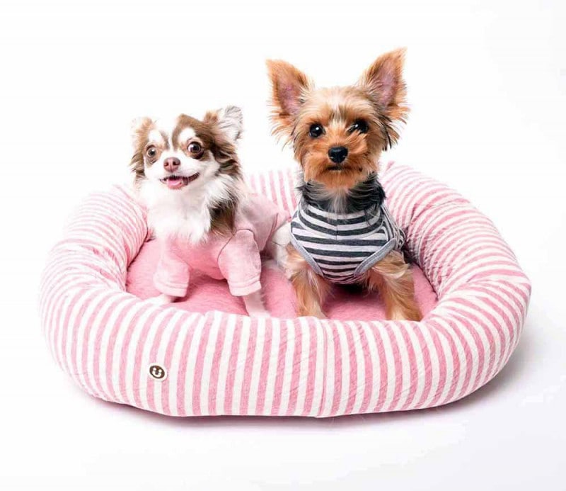 ���ѥ٥åɡڥ������å� �ܷ�ܡ������Ǻॹ�������٥åɡ�