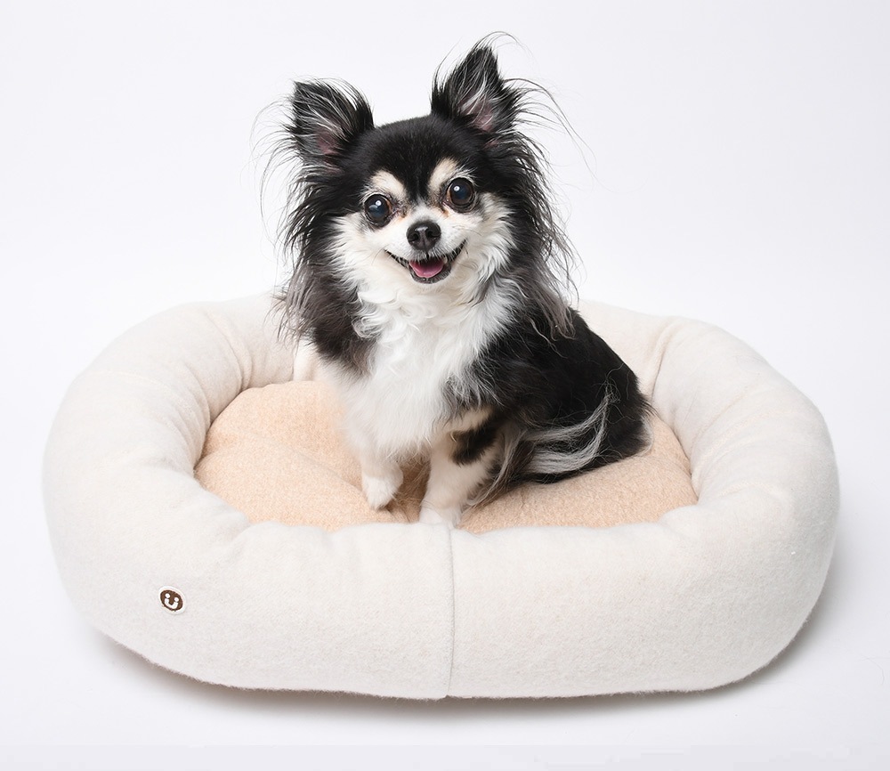 犬用ベッド【ベロアドーナツタイプ】オーガニックコットン 小型犬 犬 ベッド オーガニックコットン ベロアドーナツタイプ 大型犬