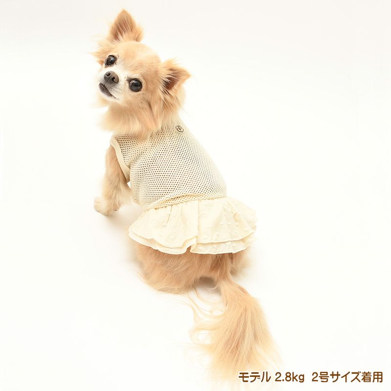 �������ڥ�å����å�����ԡ�����