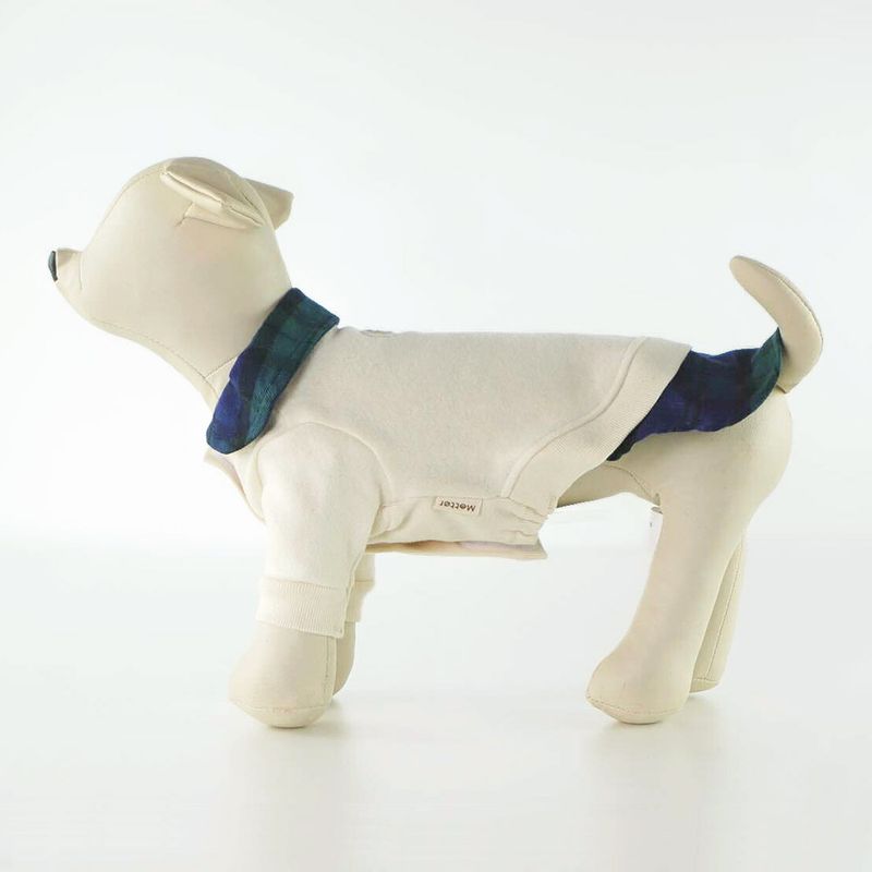 �������ڥ����ߡ��뵯�ӣ������å��쥤�䡼����Tee��