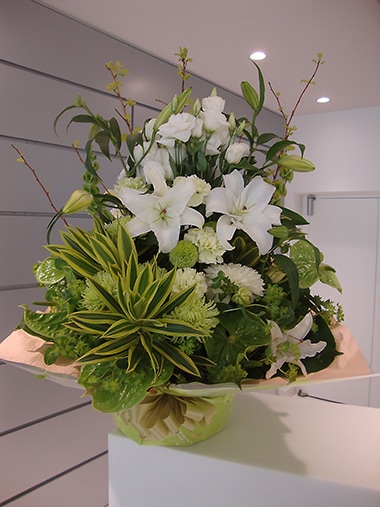 アレンジメント｜アレンジメント｜むつ美花店
