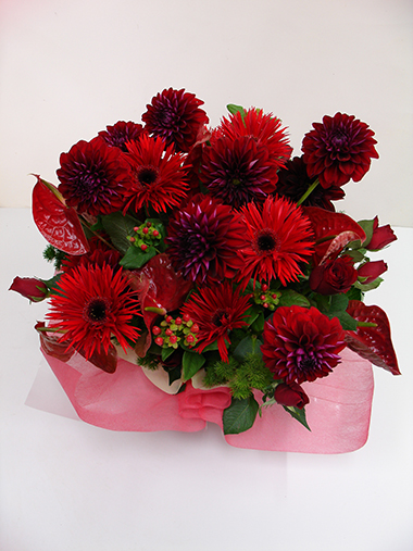 アレンジメント｜アレンジメント｜むつ美花店