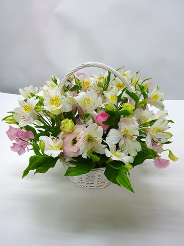 アレンジメント｜アレンジメント｜むつ美花店