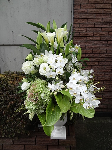 アレンジメント｜アレンジメント｜むつ美花店