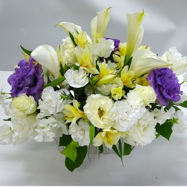 お供え｜すべての商品｜むつ美花店