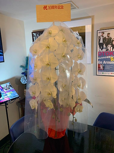 胡蝶蘭白3本立｜お届け一覧｜むつ美花店