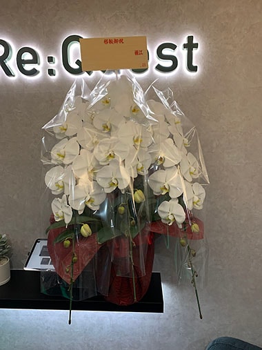 胡蝶蘭白3本立｜お届け一覧｜むつ美花店