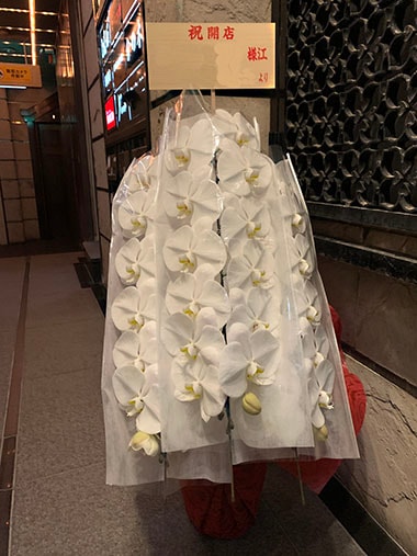 胡蝶蘭白3本立｜お届け一覧｜むつ美花店