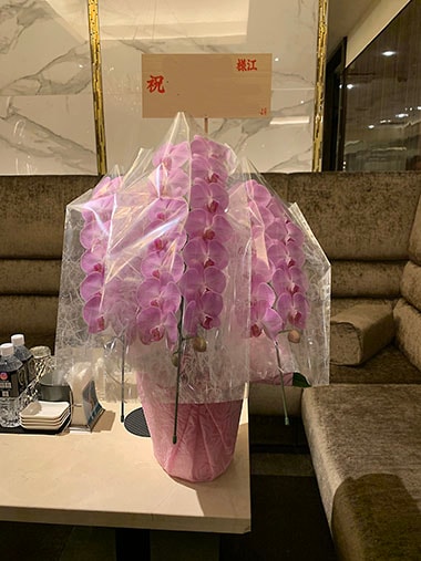 胡蝶蘭白3本立｜お届け一覧｜むつ美花店