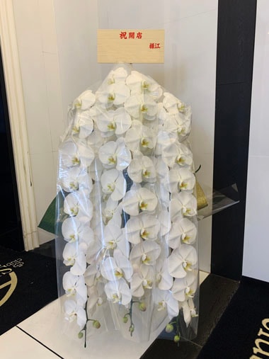 胡蝶蘭白3本立｜お届け一覧｜むつ美花店