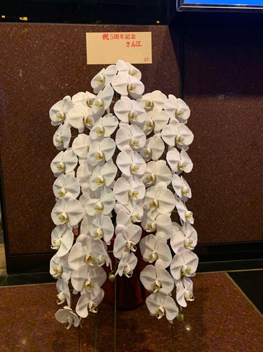 胡蝶蘭白3本立｜お届け一覧｜むつ美花店