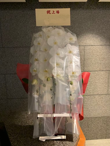 胡蝶蘭白5本立｜お届け一覧｜むつ美花店