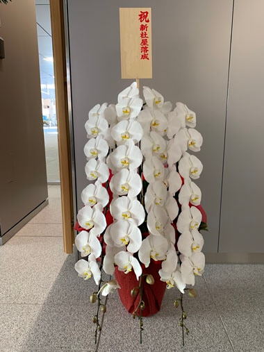 胡蝶蘭白3本立｜お届け一覧｜むつ美花店