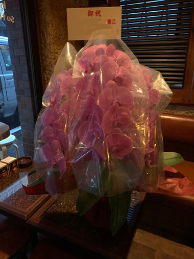 胡蝶蘭ピンク3本立｜お届け一覧｜むつ美花店