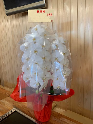 胡蝶蘭白3本立｜お届け一覧｜むつ美花店