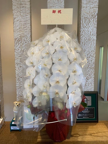 胡蝶蘭白3本立｜お届け一覧｜むつ美花店