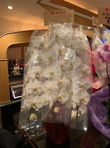 胡蝶蘭白3本立｜お届け一覧｜むつ美花店