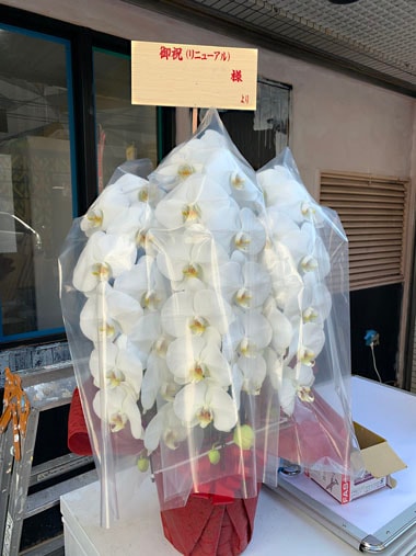 胡蝶蘭白3本立｜お届け一覧｜むつ美花店