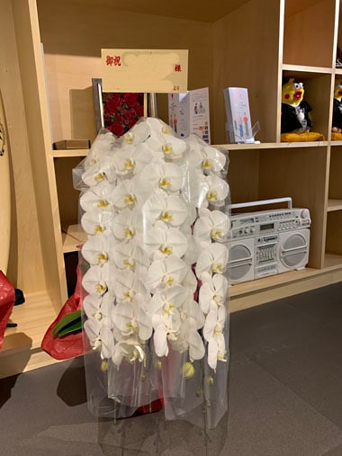 胡蝶蘭白3本立｜お届け一覧｜むつ美花店