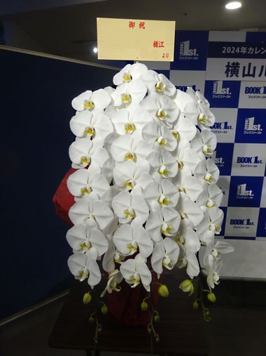 胡蝶蘭白3本立｜お届け一覧｜むつ美花店