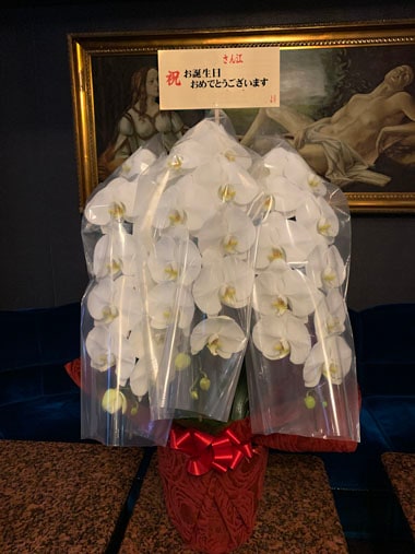 胡蝶蘭白3本立｜お届け一覧｜むつ美花店