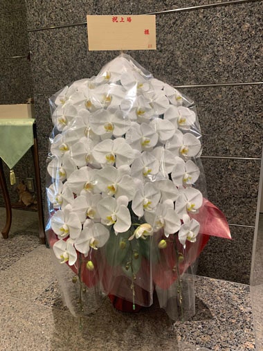 胡蝶蘭白3本立｜お届け一覧｜むつ美花店