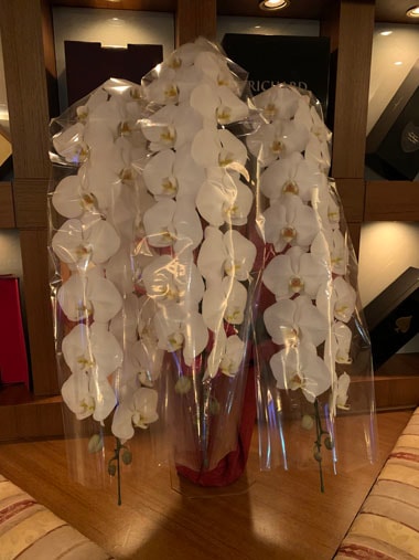 胡蝶蘭白3本立｜お届け一覧｜むつ美花店