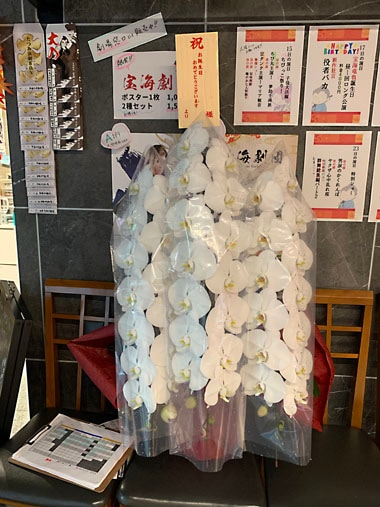 胡蝶蘭白3本立｜お届け一覧｜むつ美花店