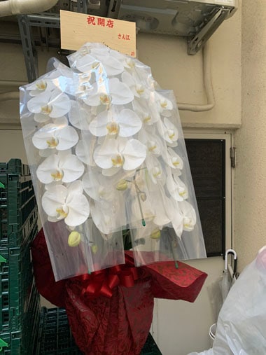 胡蝶蘭白3本立｜お届け一覧｜むつ美花店