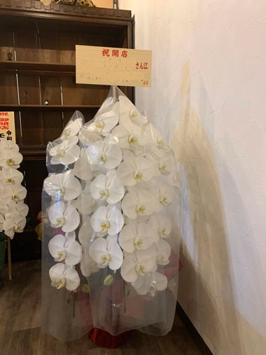 胡蝶蘭白3本立｜お届け一覧｜むつ美花店