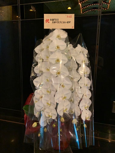 胡蝶蘭白3本立｜お届け一覧｜むつ美花店