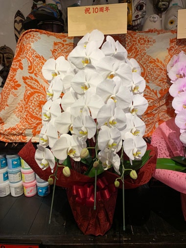 胡蝶蘭白3本立｜お届け一覧｜むつ美花店