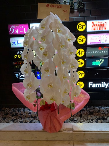 胡蝶蘭白3本立｜お届け一覧｜むつ美花店