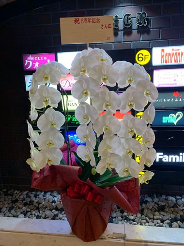 胡蝶蘭白3本立｜お届け一覧｜むつ美花店