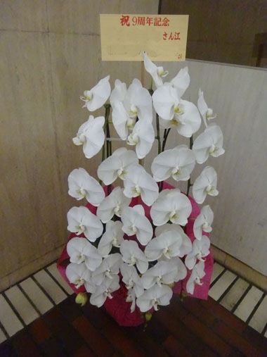 胡蝶蘭白3本立｜お届け一覧｜むつ美花店