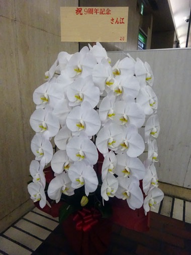 胡蝶蘭白3本立｜お届け一覧｜むつ美花店