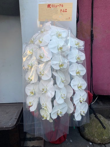 胡蝶蘭白3本立｜お届け一覧｜むつ美花店