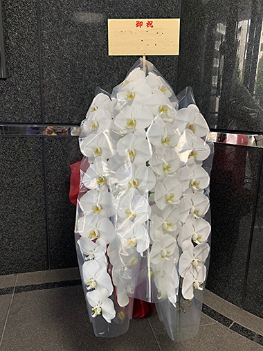 胡蝶蘭白3本立｜お届け一覧｜むつ美花店