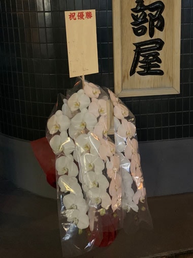 胡蝶蘭白3本立｜お届け一覧｜むつ美花店