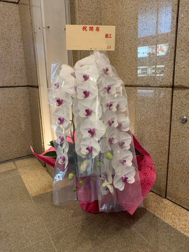 胡蝶蘭赤白3本立｜お届け一覧｜むつ美花店
