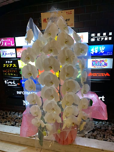 胡蝶蘭白3本立｜お届け一覧｜むつ美花店